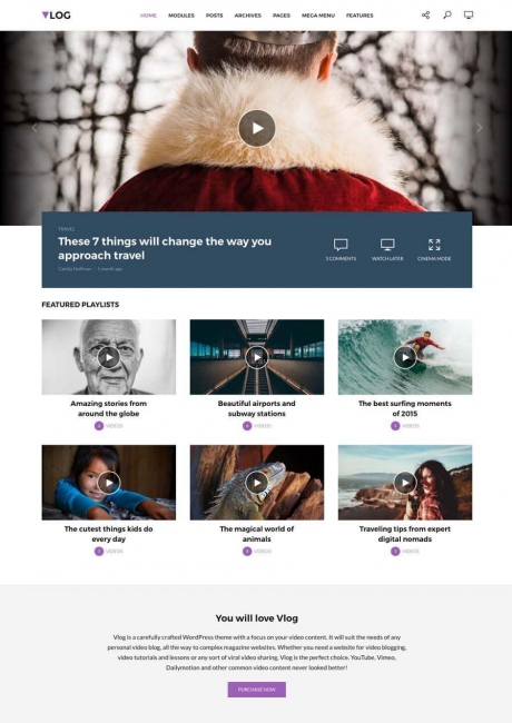 Vlog WordPress Theme Design