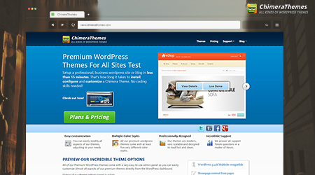 premium wordpress themes