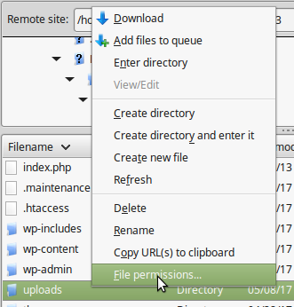 file permissions