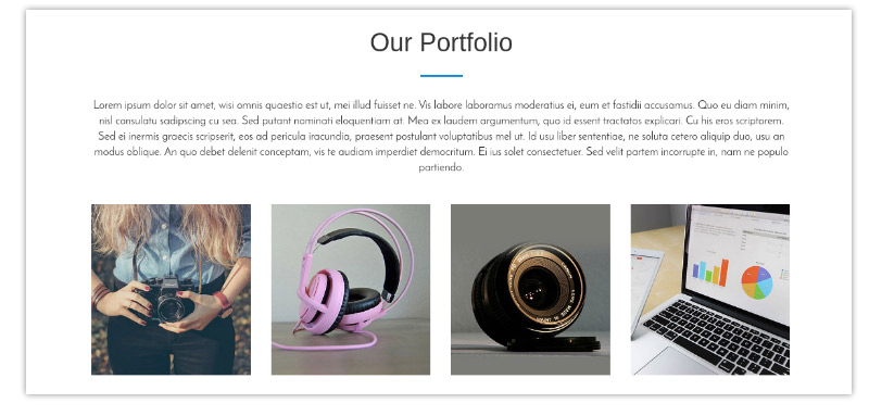 Portfolio Section- One Page WordPress Theme