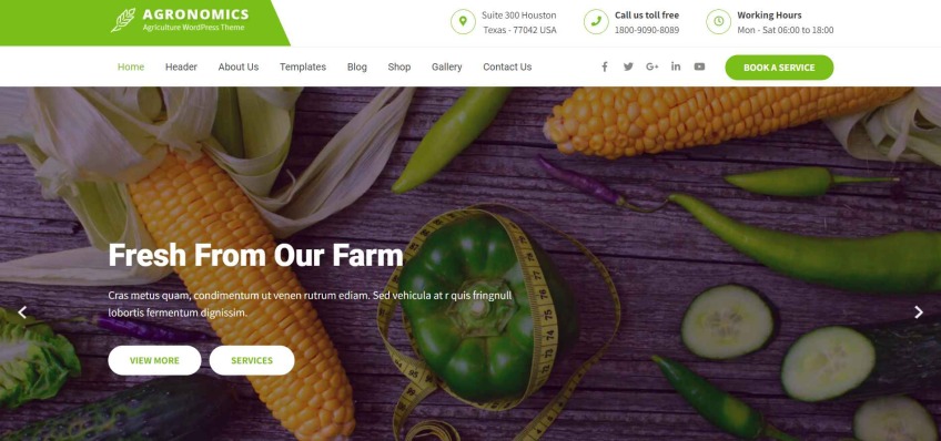 Agronomics Lite- free WordPress organic theme