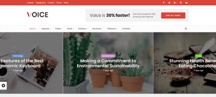 voice-wp-seo-theme