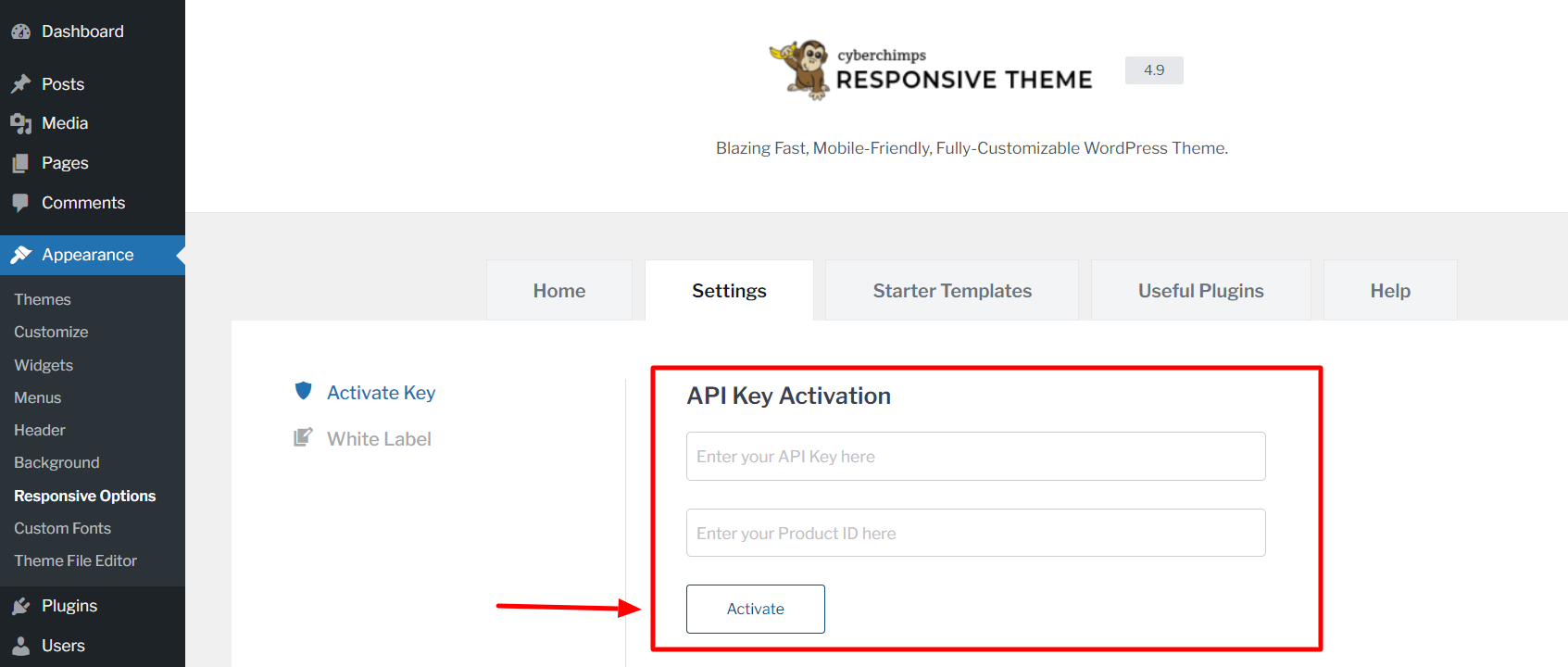 Activate API key