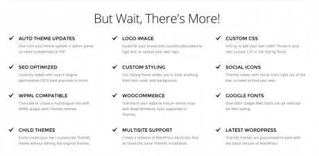 Themify.me Features