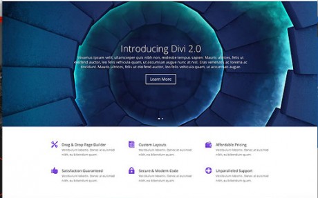 WordPress-Review-Theme-Divi