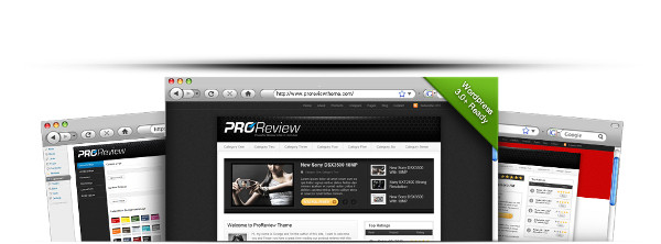 WordPress pro review theme