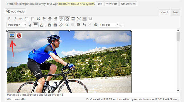 cyclist11