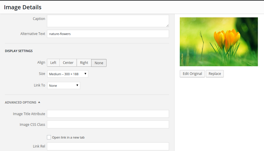 Image Settings