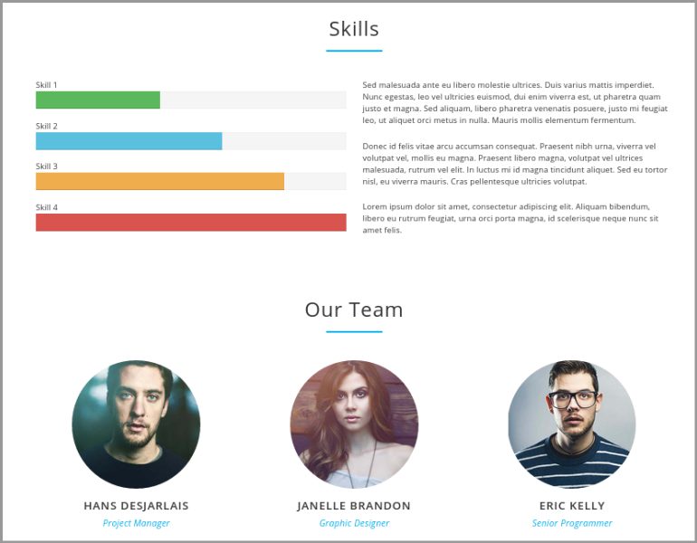 skills section