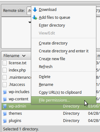 file permission