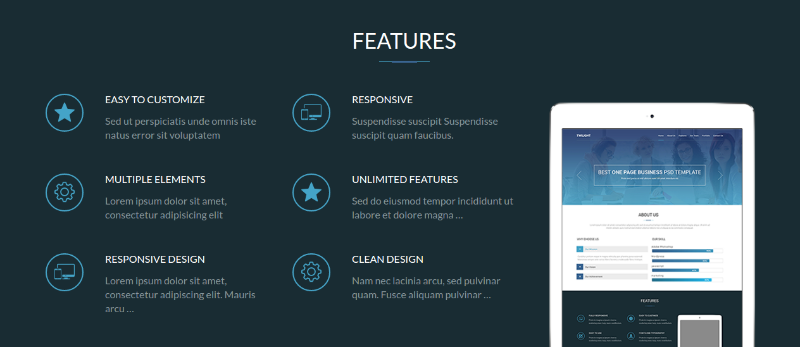 Features Section
