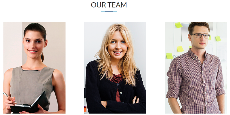 Team section