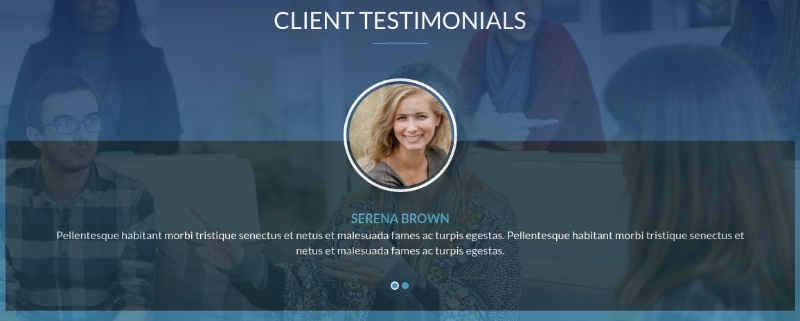 Testimonial Section