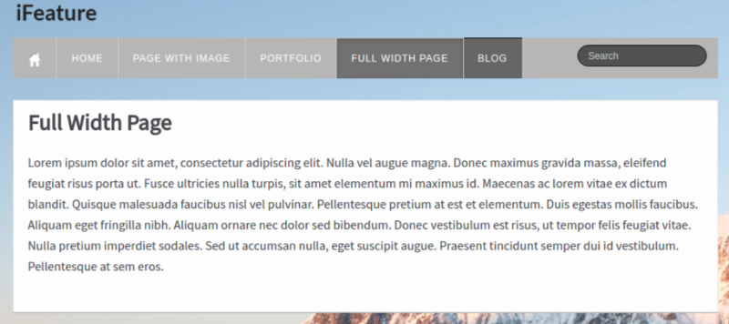 WordPress Theeme