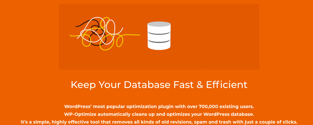WordPress must have plugin