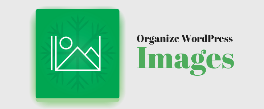 WordPress Images