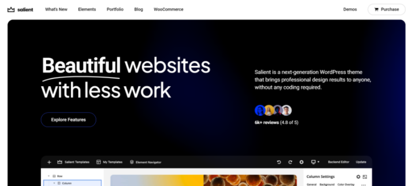 salient-wp-seo-theme