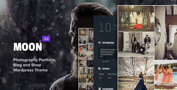 Moon WordPress Theme