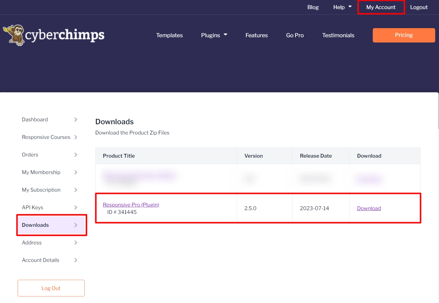 Downloads Responsive Pro zip file