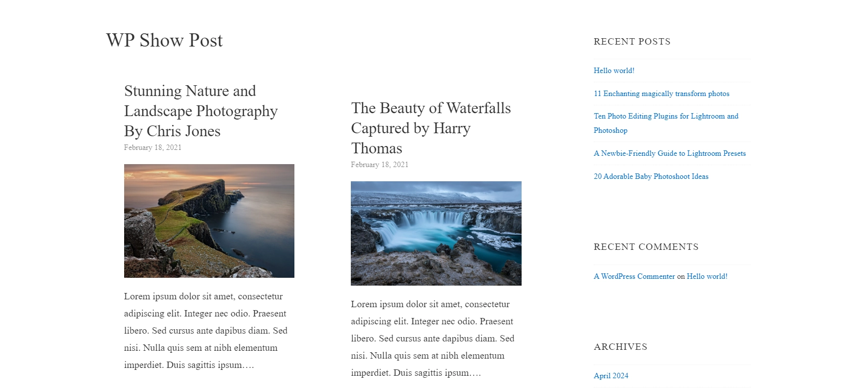 Checking the front end of the website using Wp Show Post plugin